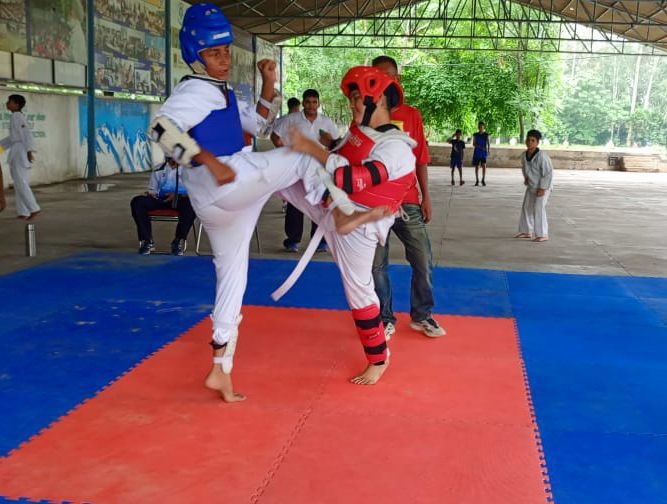 Congratulations MSSSP Taekwondo Champions! at Modern Senior Secondary School, Patiala